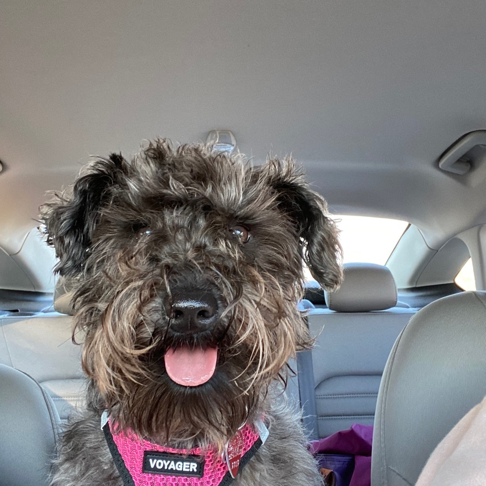 Meet your Posher, Stephanie